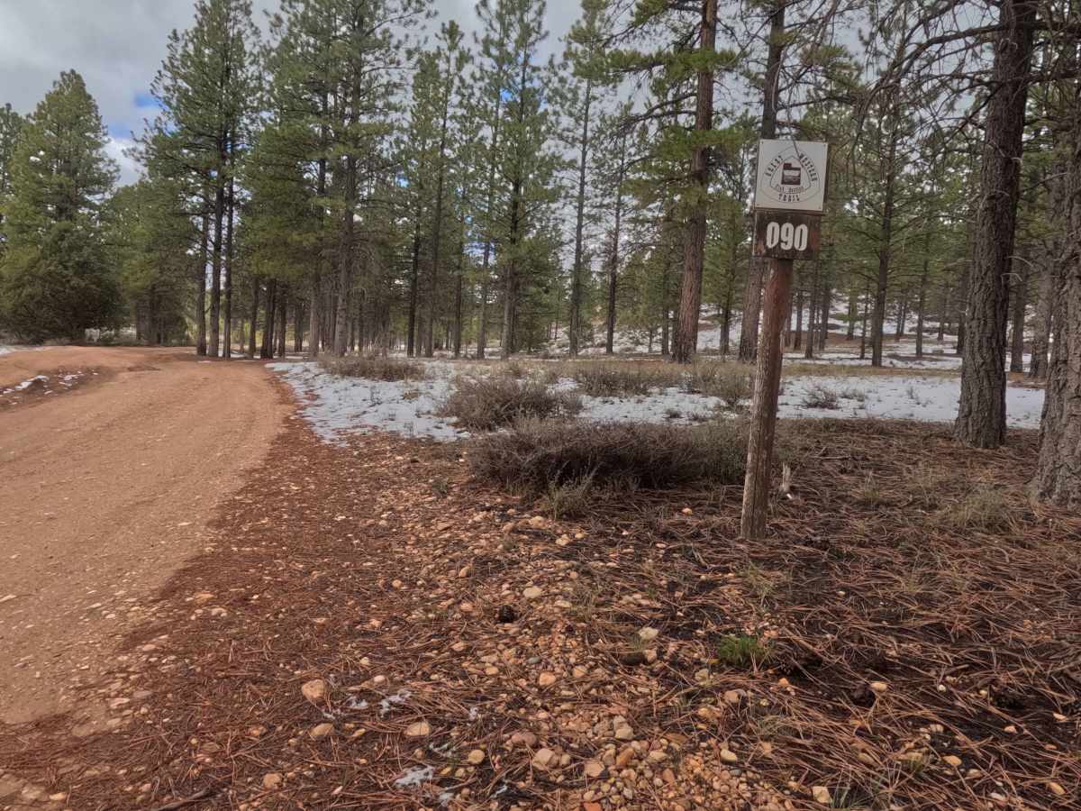 Great Western Trail - FS 30090 photo 3