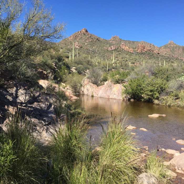 Near Miners Needle Loop