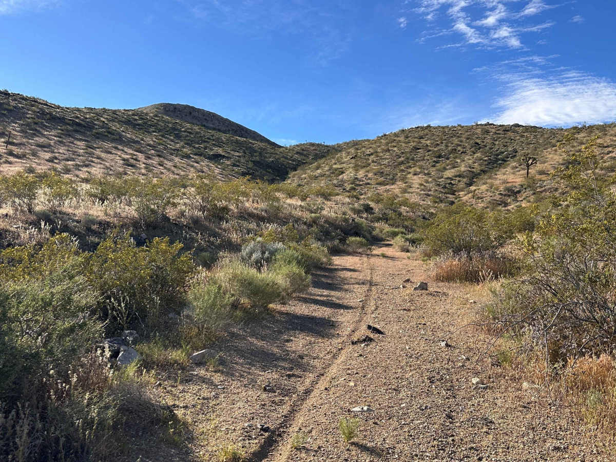 High Desert Hook photo 5