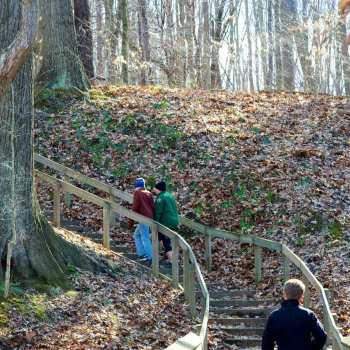 Hiking up from the Galien River. Enjoying the massive trees. Near Warren Woods