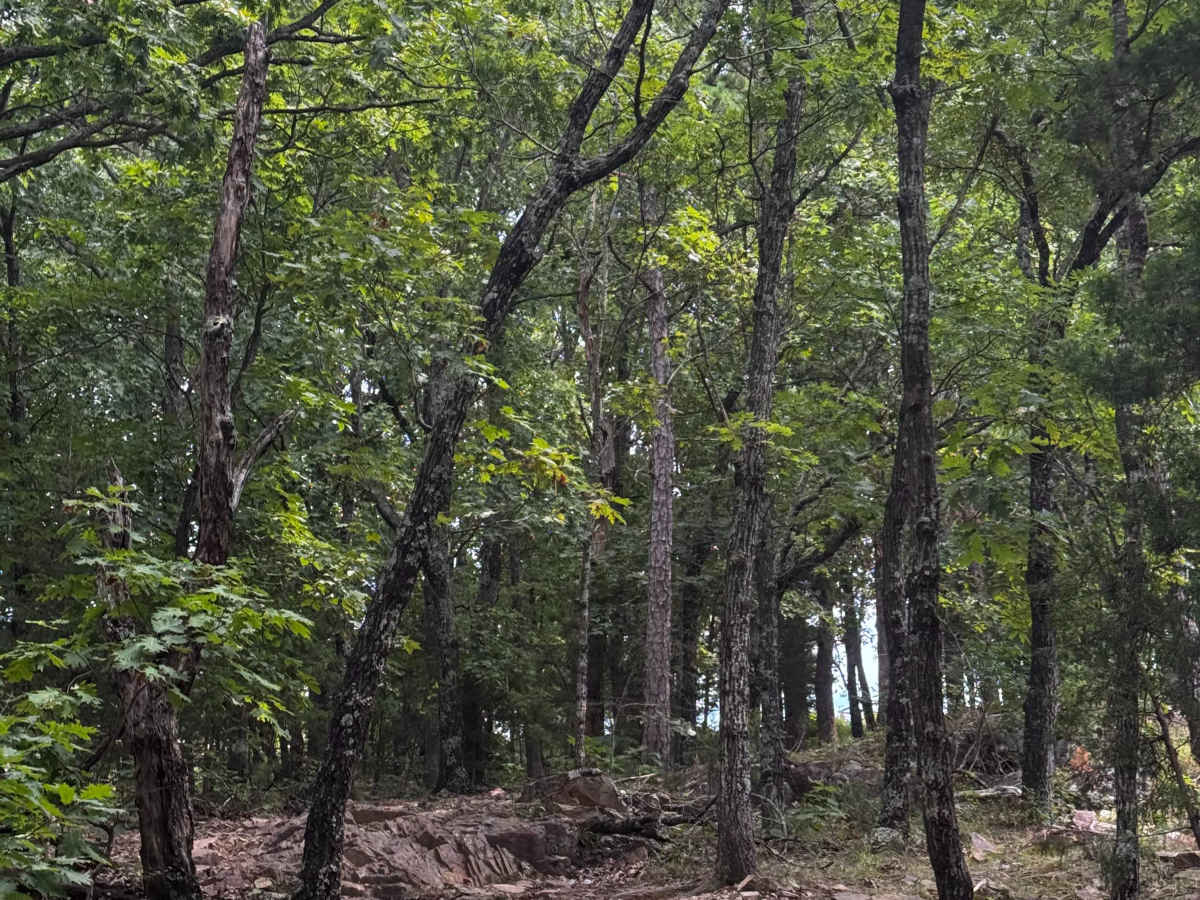 Jeepers Creepers trail photo