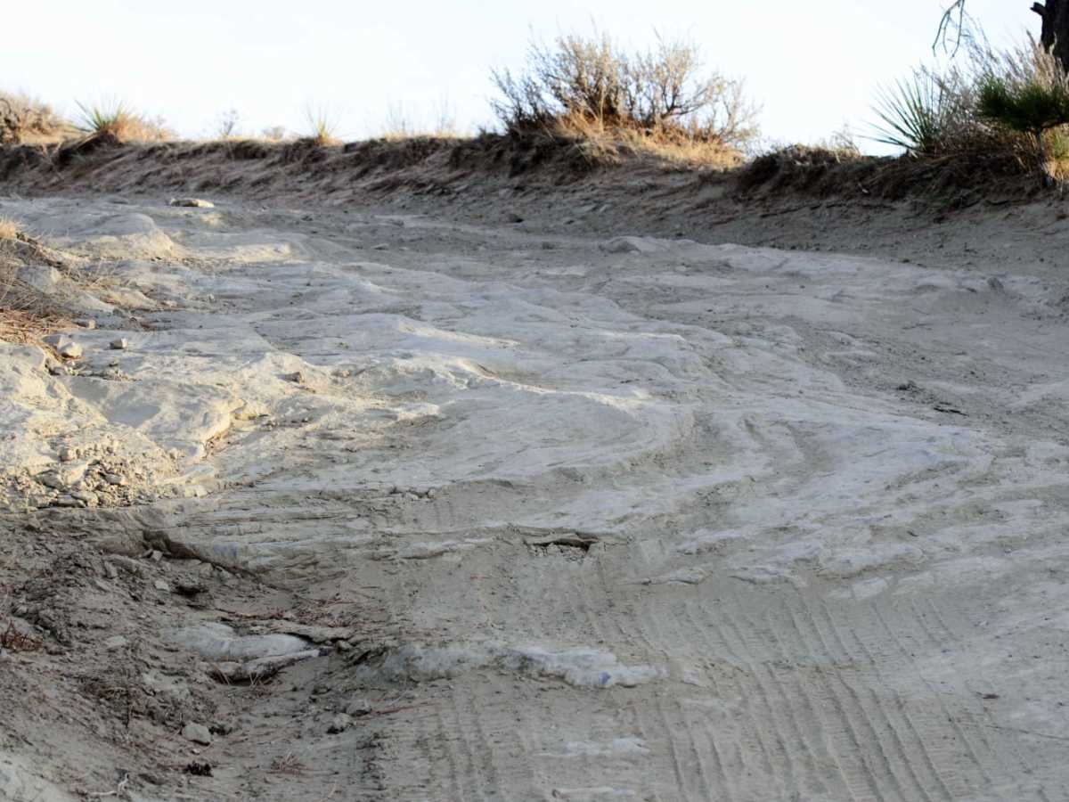 Acton Recreation Area photo 3