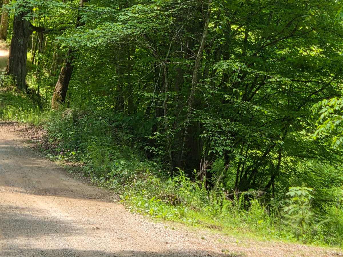 Slash Road photo 3