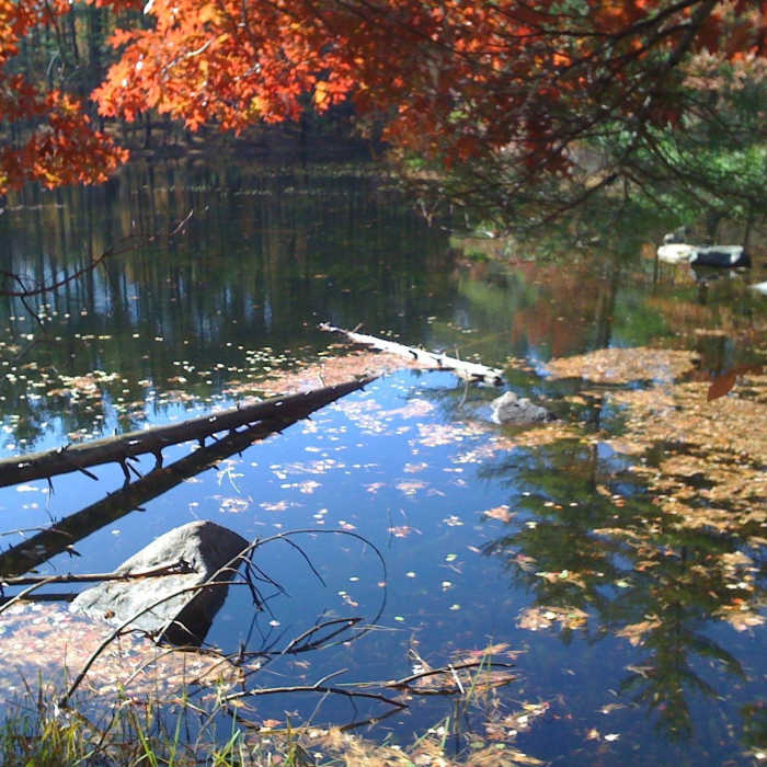 Inlet of Brackett Pond Near Brackett Pond Loop