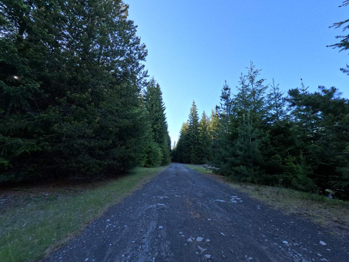 FS 2610250 photo 5