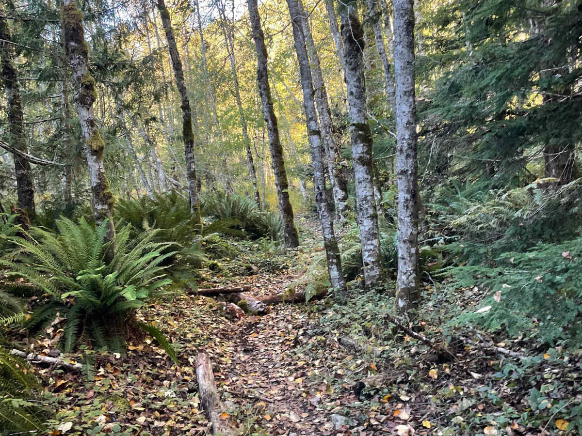 Final Stretch photo 2
