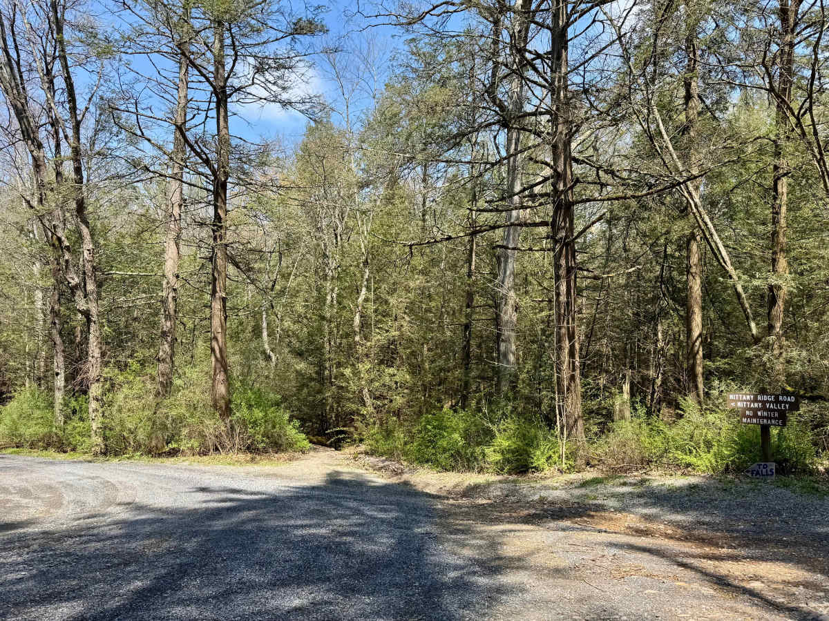 Nittany Ridge Road photo 2