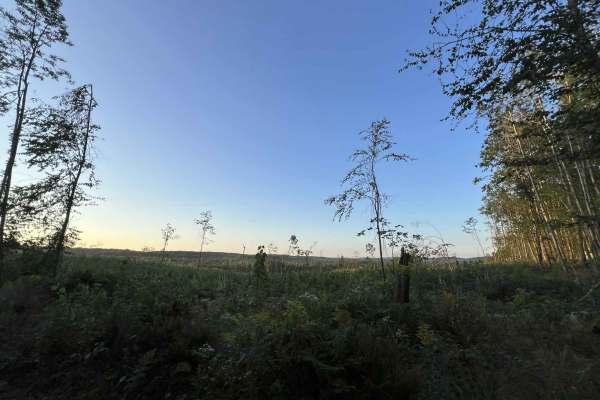 Forest County ATV/SXS 8 Mile Loop Trail 2
