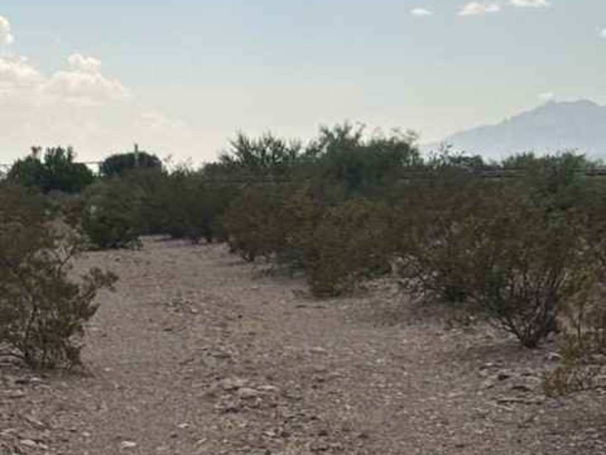 Ss1170 Part A photo 4