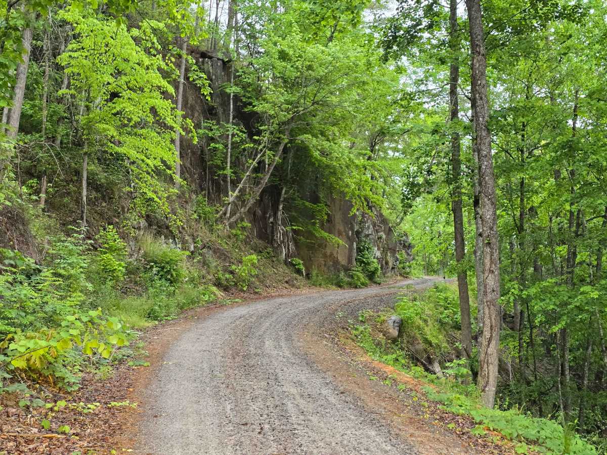 Old Highway Road - FS 311 photo 3