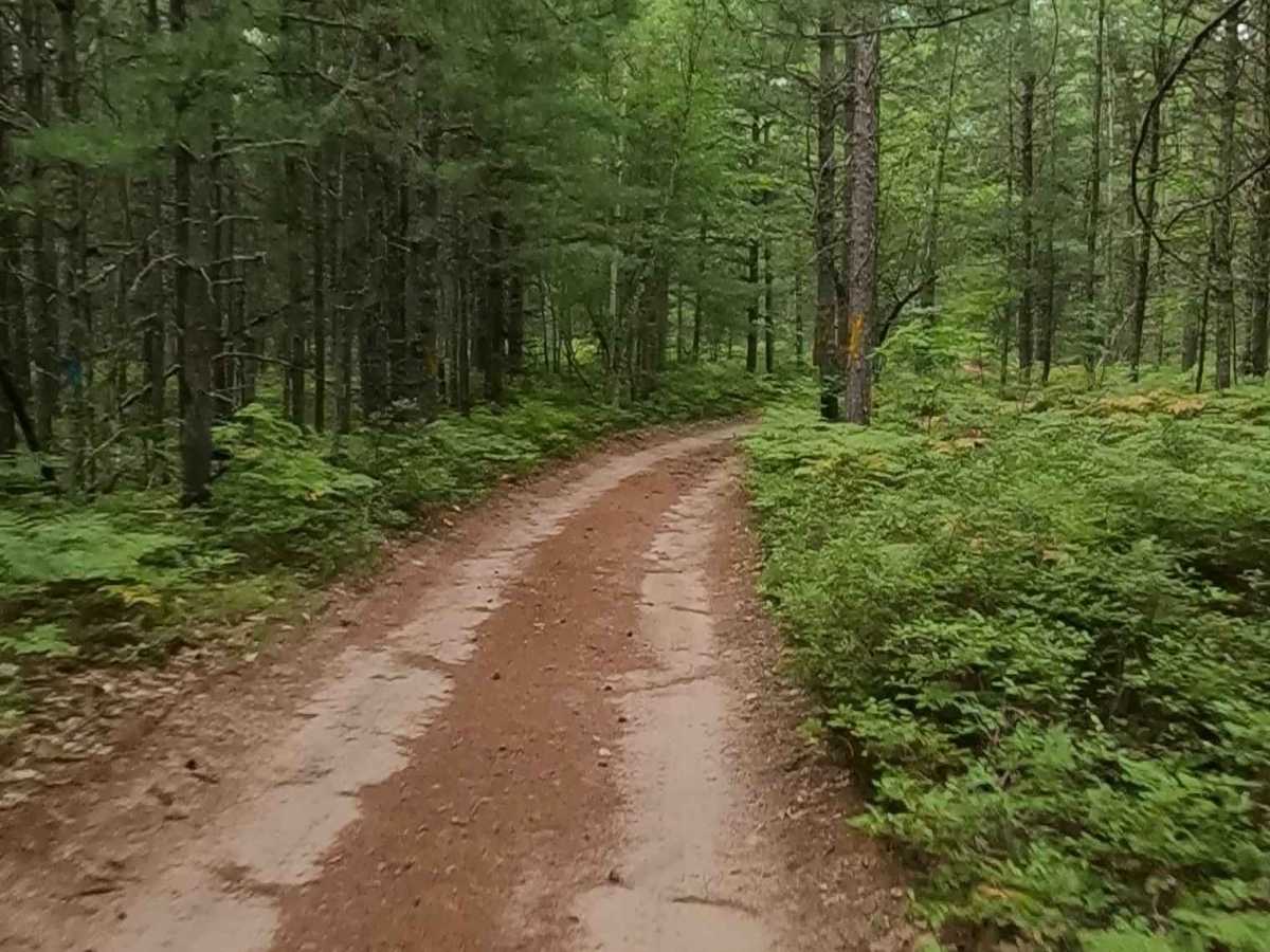Lavender Lake Road photo 6