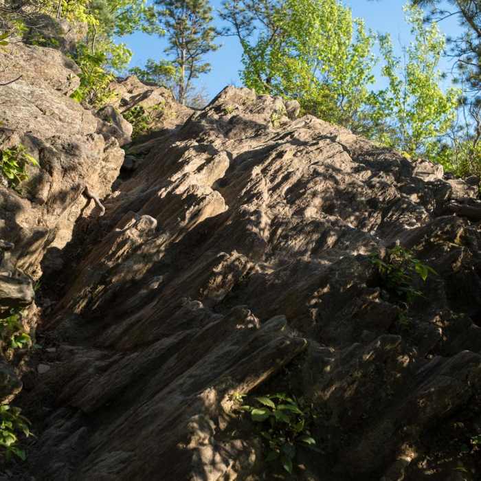 Near Lookout Mountain