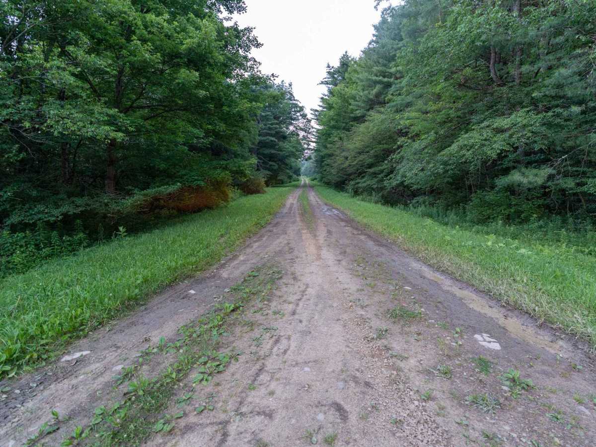 Scholes Forest Road photo 3