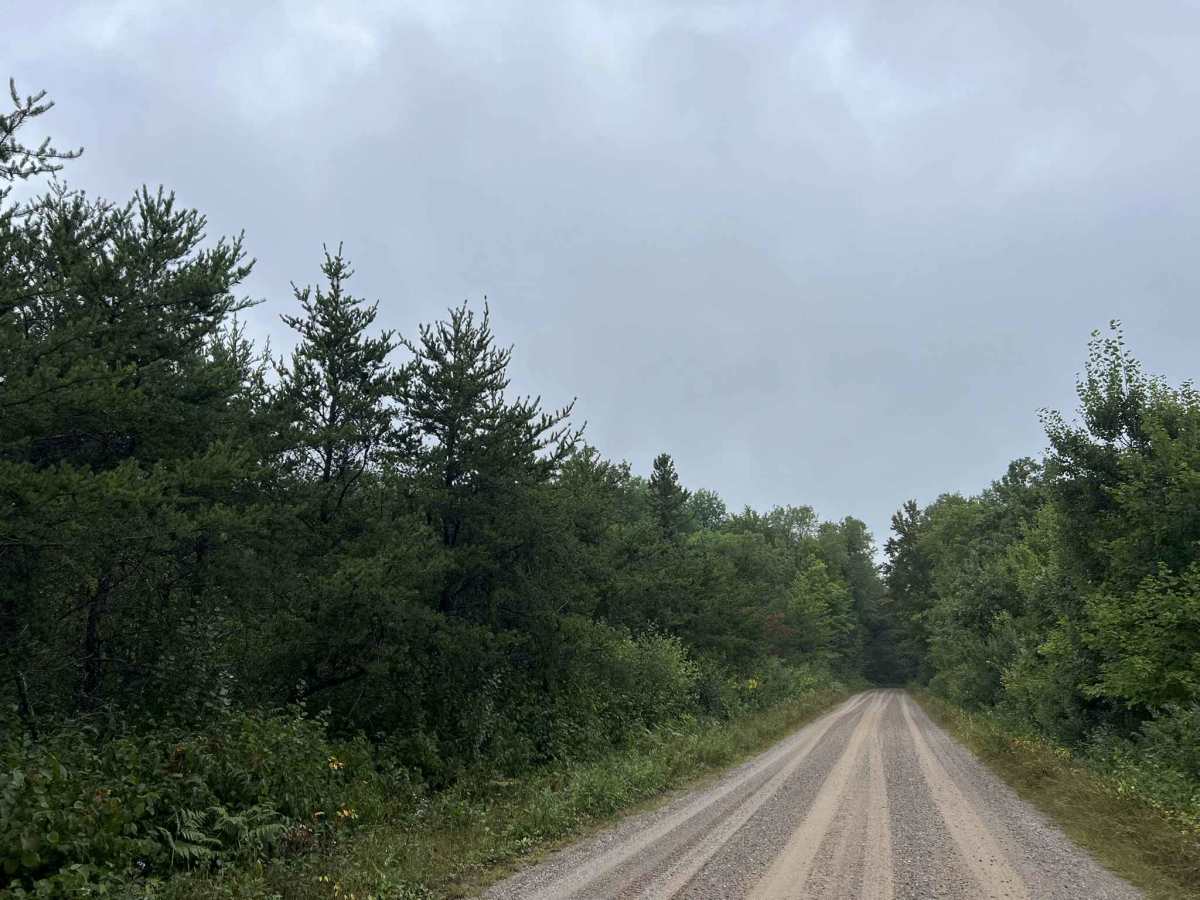 Chickadee Road - FS 2102 photo 4