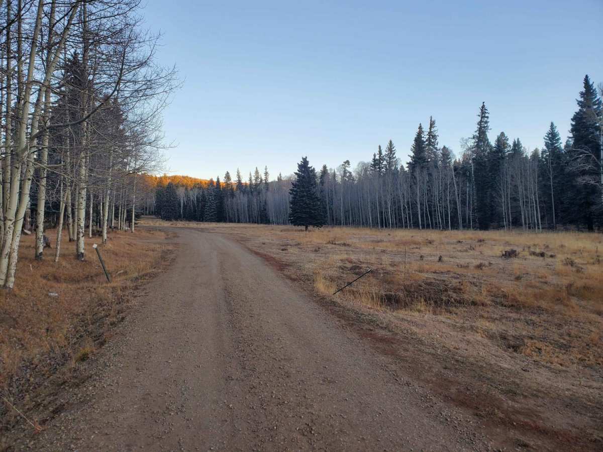 La Jara Canyon photo 4