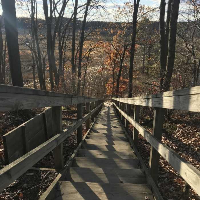 Stairwell to Hooks Creek Lake Near Steamboat Landing and Crabbing Bridge Loop