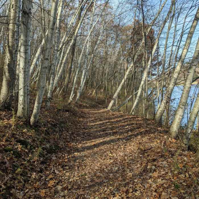 Near Lake Loop