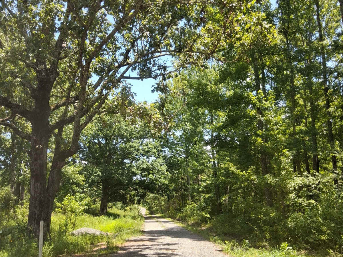 Stewart Road trail photo