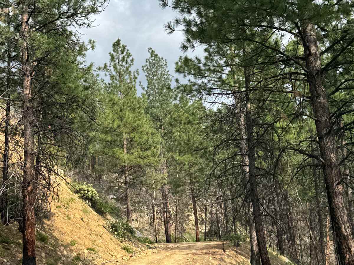 Twenty Mile - FS 5010-700 photo 2