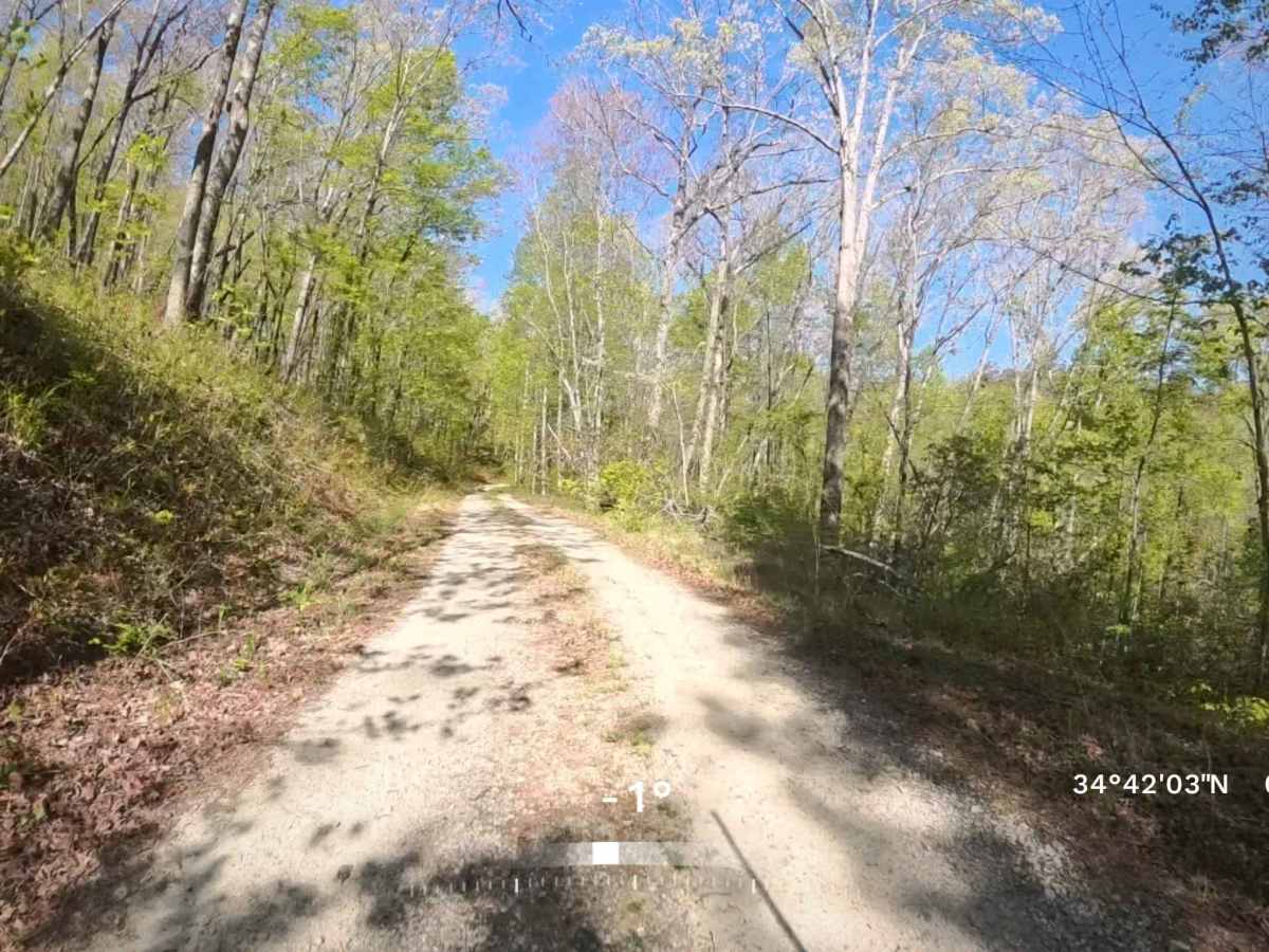 Forest Road 752B photo 5