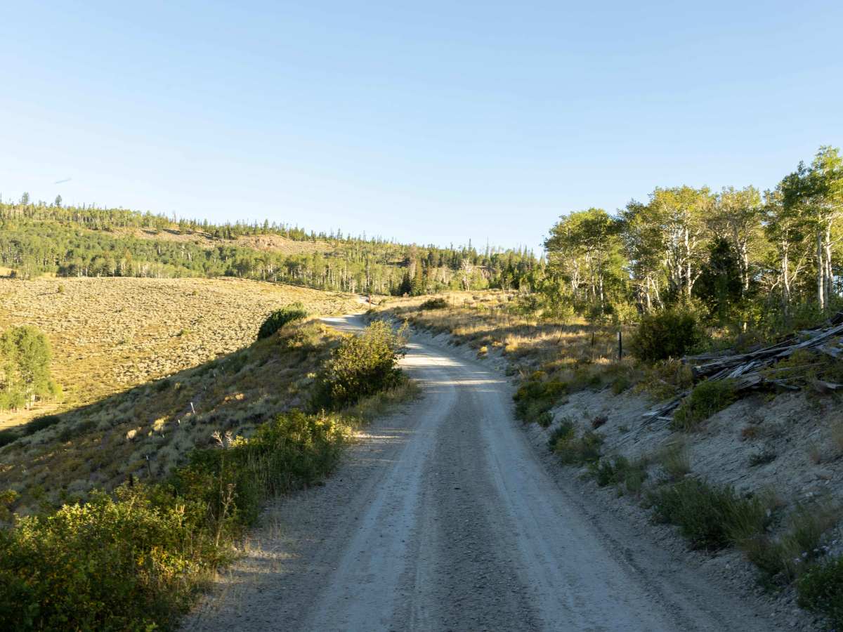 Blacktail Creek photo 4