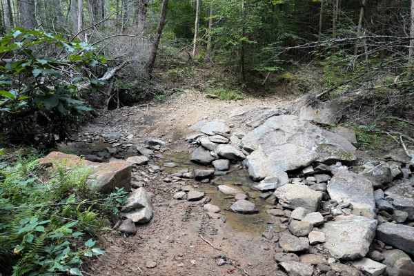 Brashy Fork Trail 6