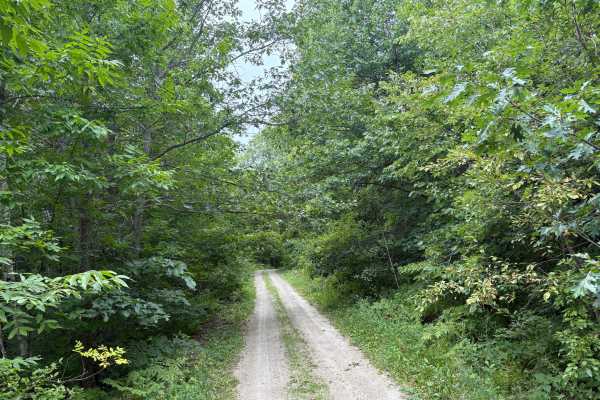 Heart Lake Trail