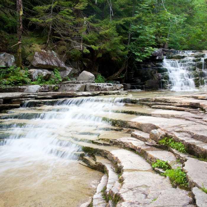 Near Bemis Brook Trail