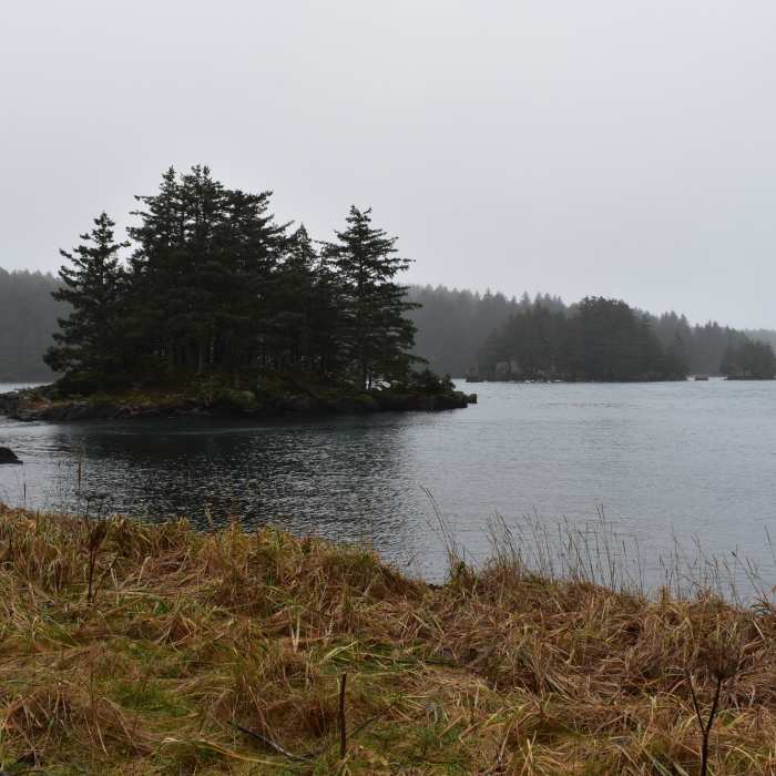 Near North Point Trail