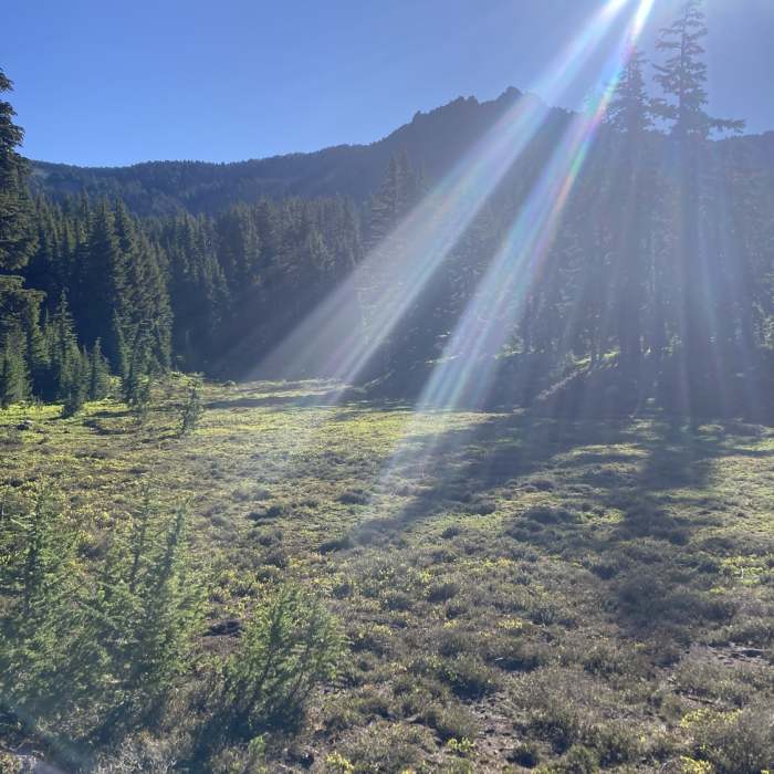 Near Mount Jefferson South Ridge