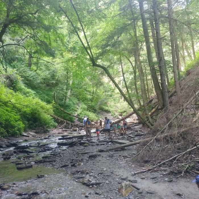 Near Grimes Glen Park Near Grimes Glen Park