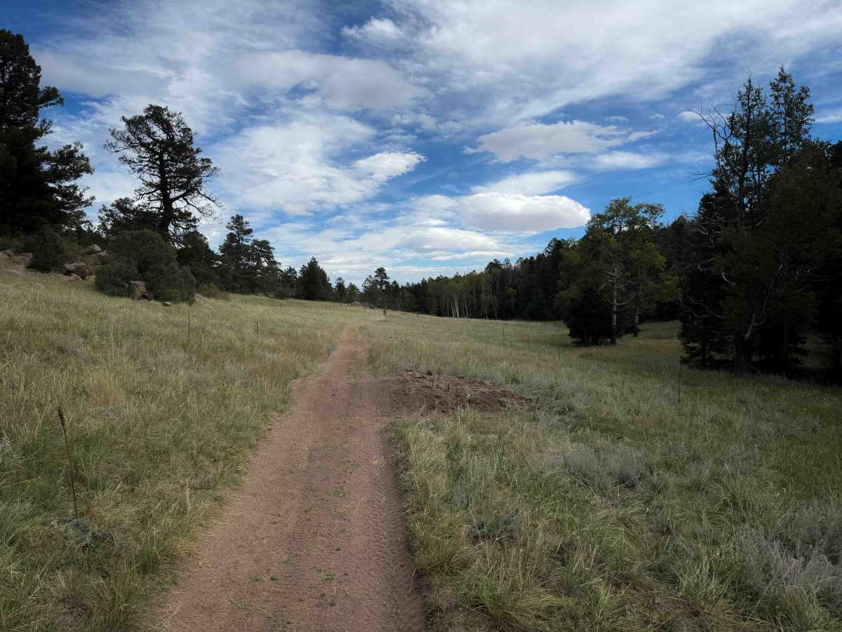 Stultz Trail - FS 1334 photo 5