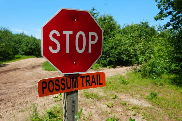 Possum Trail