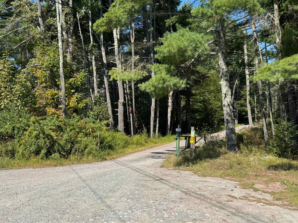 Mongaup River Road trail photo