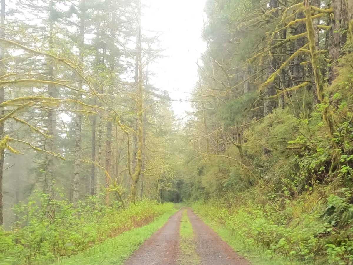Andy Creek photo 5