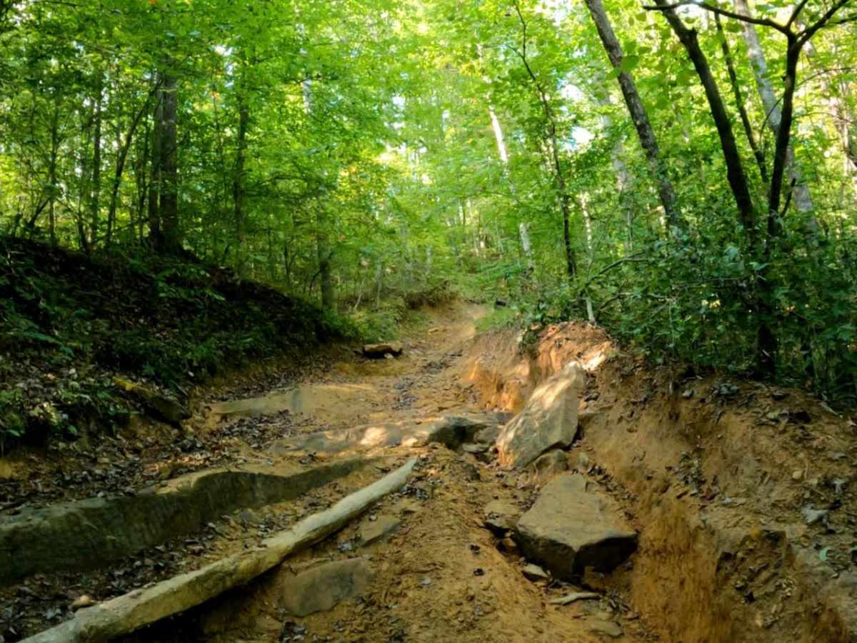Cowen Creek photo 6