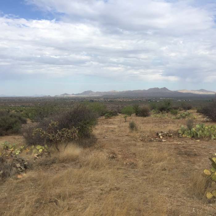 Near 50-Year Trail