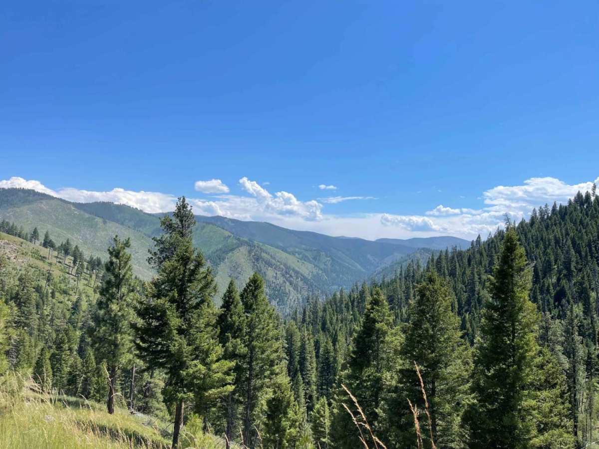 Crazy Creek Warm Springs trail photo