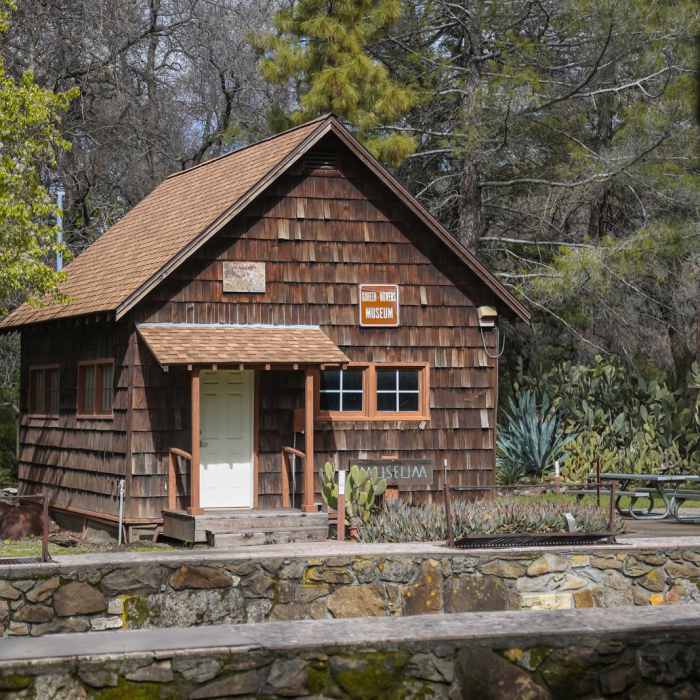 Near Pena Adobe Loop Trail