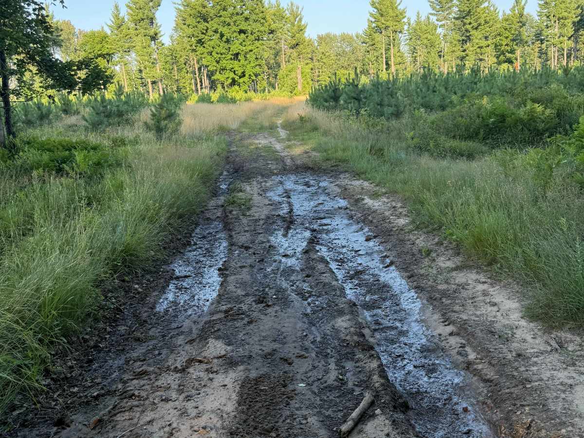 Cedar Road Loop Trail photo 5