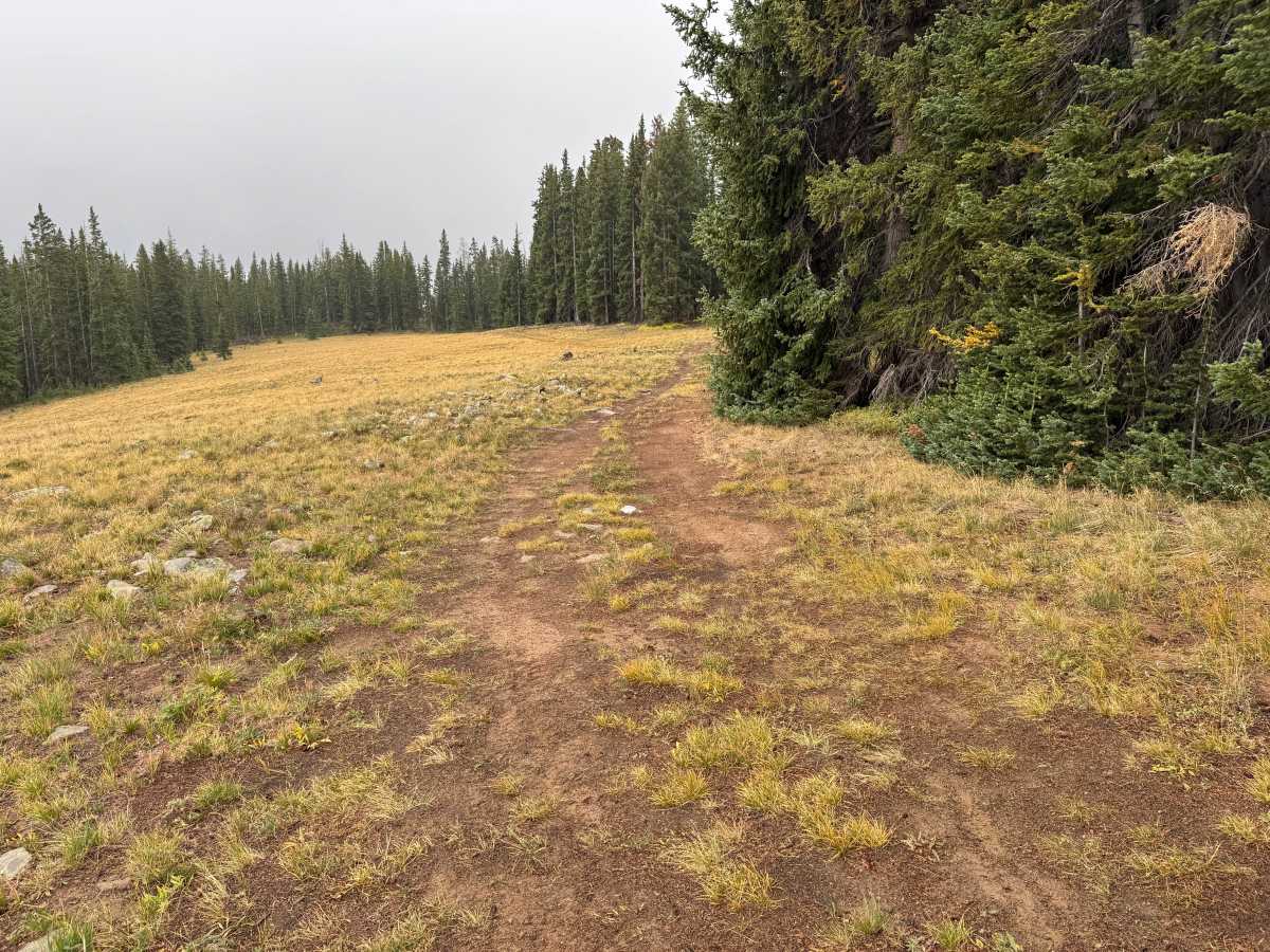 Porphyry Mountain Spur Road photo 5