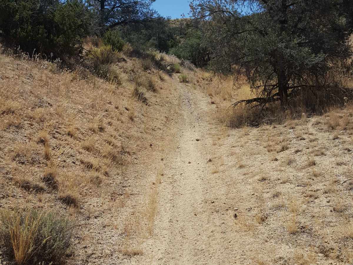 Trail 37 photo 6