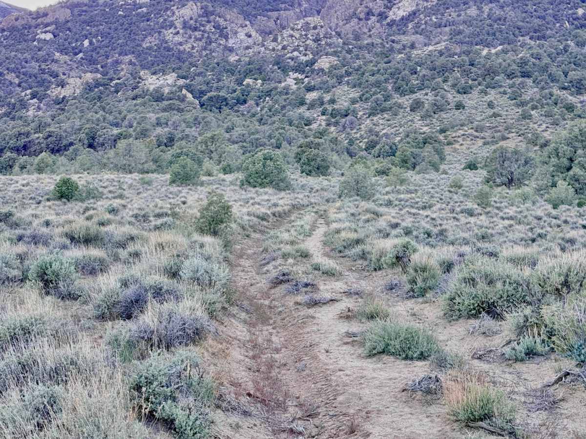 South Trail McLeod Bypass - FS 43340 photo 2