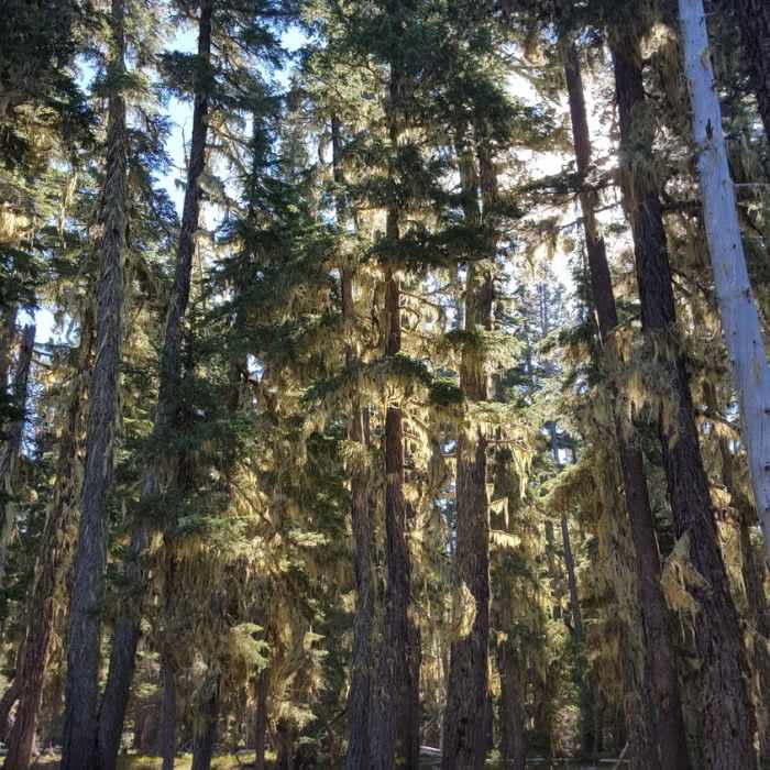 Near Odell to Windigo Loop