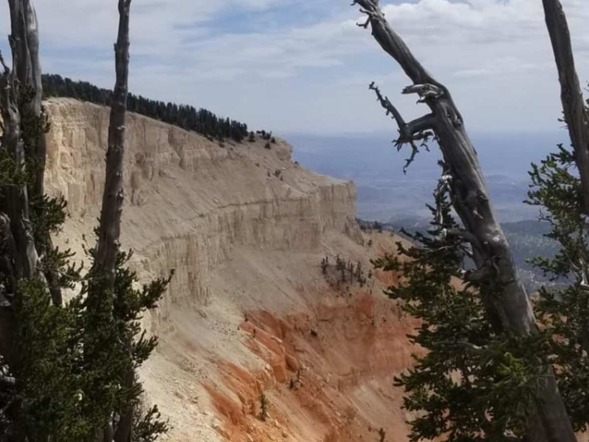 Powell Point Trail photo 4