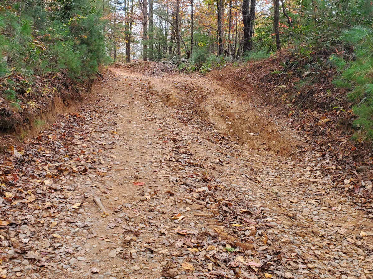 Weeks Creek - FS 35 photo 2