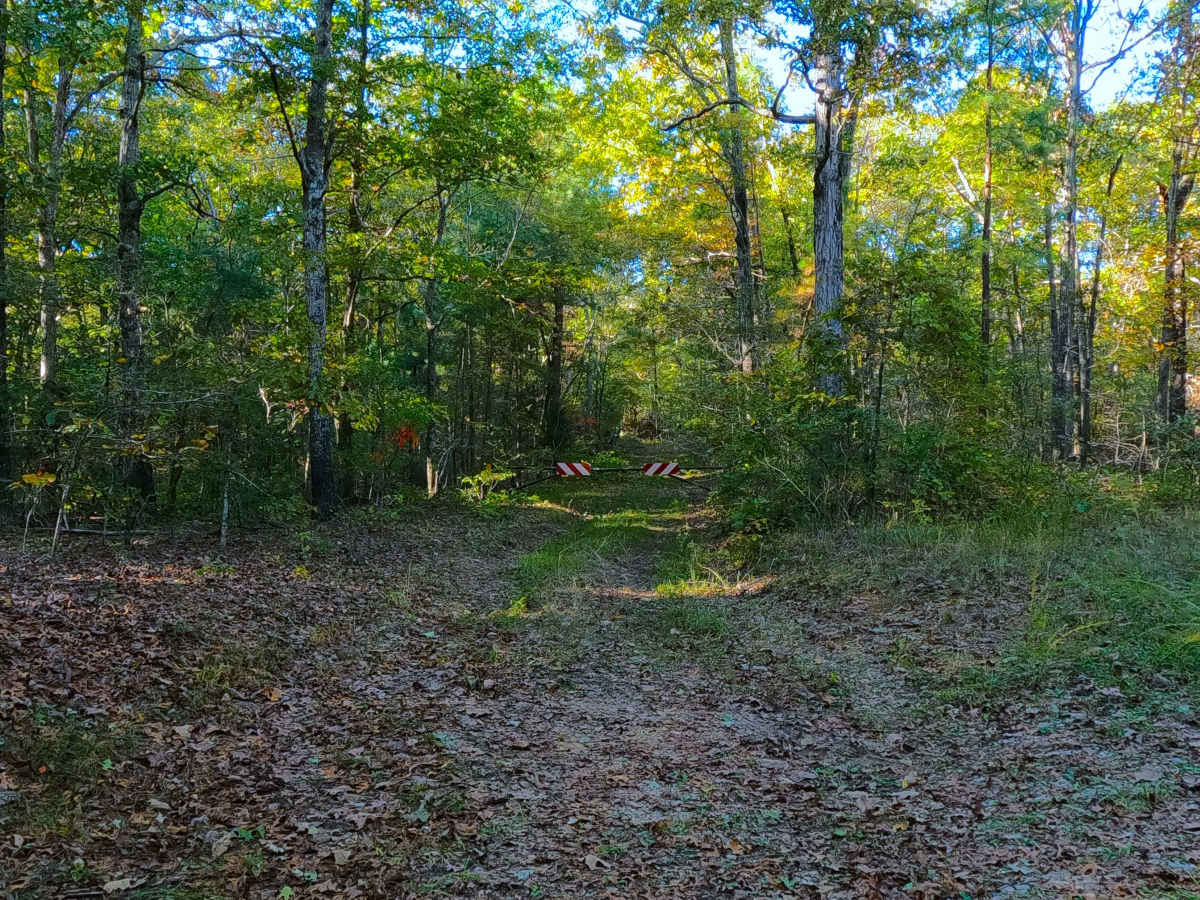 Sugar Creek - FS 318 photo 4