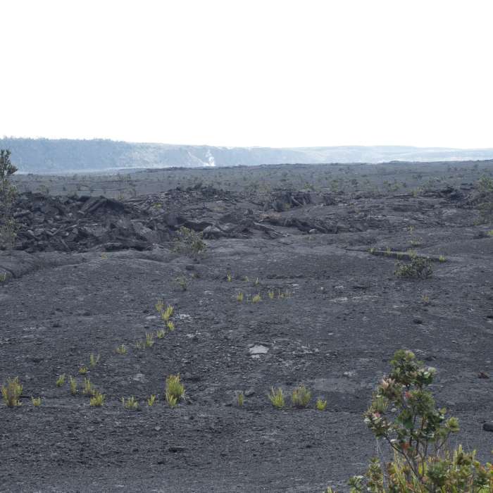 The Halema'uma'u Trail is closed at the caldera floor. You can walk out on it a little bit on the Byron Ledges Trail, but the main trail is closed beyond this point. Near Halema'uma'u Trail