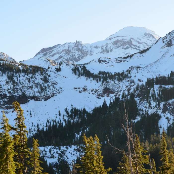 Near Demaris Lake Near Demaris Lake