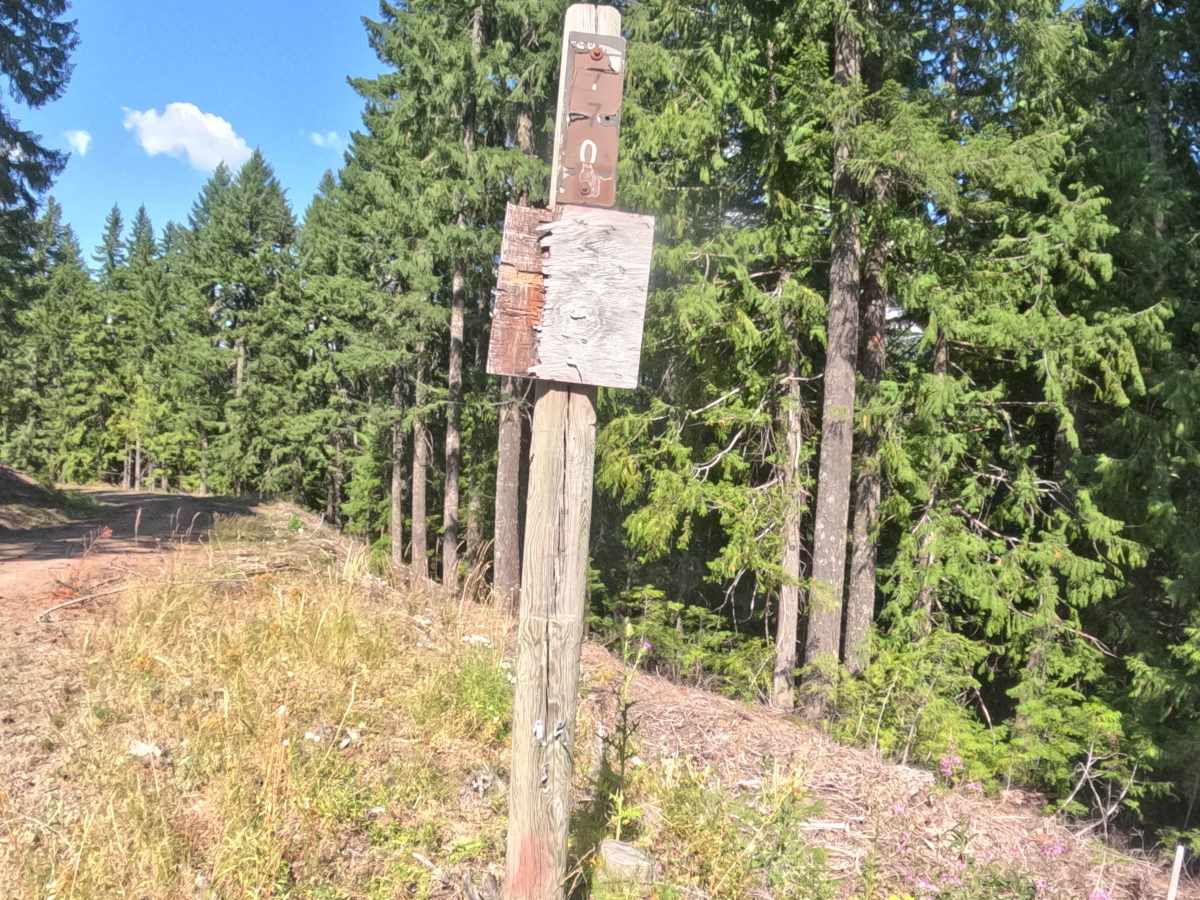 Deer Toe Road - FS 2047770 photo 4
